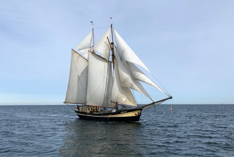 Zuiderzee tall ship for Sailingo in the Baltic Sea on an educational group trip